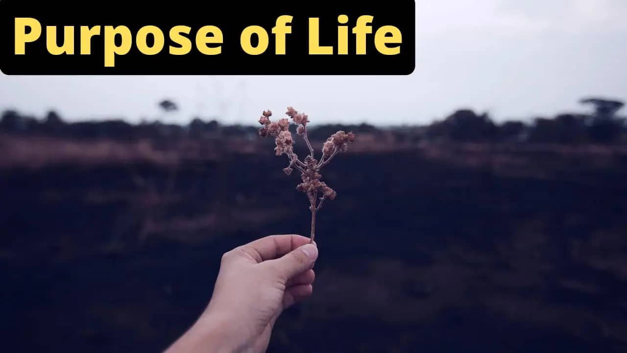 How to Find Purpose of Life (10 Tips)